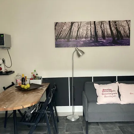 Apartment Asv Pineda de Mar